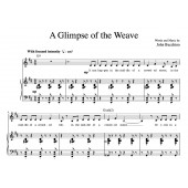 “A Glimpse Of The Weave” [Lengthy philosophical musing] (Solo) in D