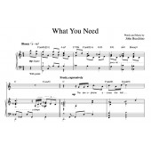 “What You Need” [Plaintive ballad] in C