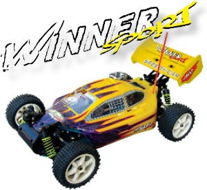 103430 Winner Sport 4WD Off-road Buggy (2 Channel AM Radio +Rec)