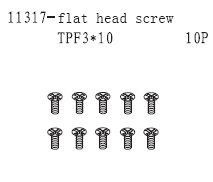 11317 Screw TPF3*10 10PCS