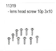 11319 Lens Head Screw 3x10
