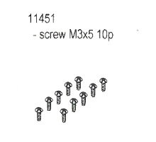11451 TM3*5 T-head Screw