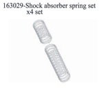163029 Shock Absorber Spring Set
