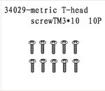 34029 Metric T-Head Screw TM3*10