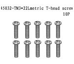 45032 TM3*22L T-head Screw
