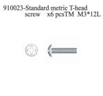 910023 Standard Metric T-Head Screw M3*12L