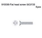 910036 Flat Head Screw ISO3*25