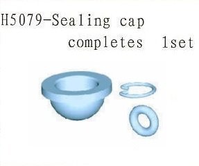 H5079 Sealing Cap Complete