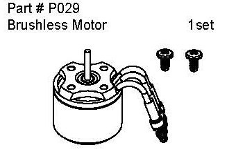 P029 Brushless Motor 
