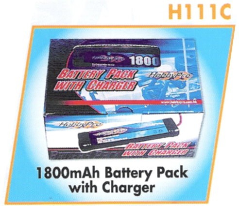 H111C 6V Battery with Charger