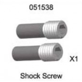 051538 Shock Screw