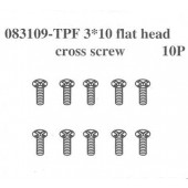 083109 Flat Head Screw TPF3*10
