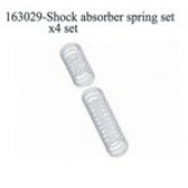 163029 Shock Absorber Spring Set