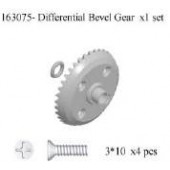 163075 (163003) Differential Bevel Gear
