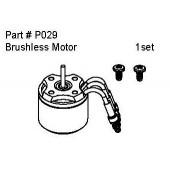 P029 Brushless Motor 