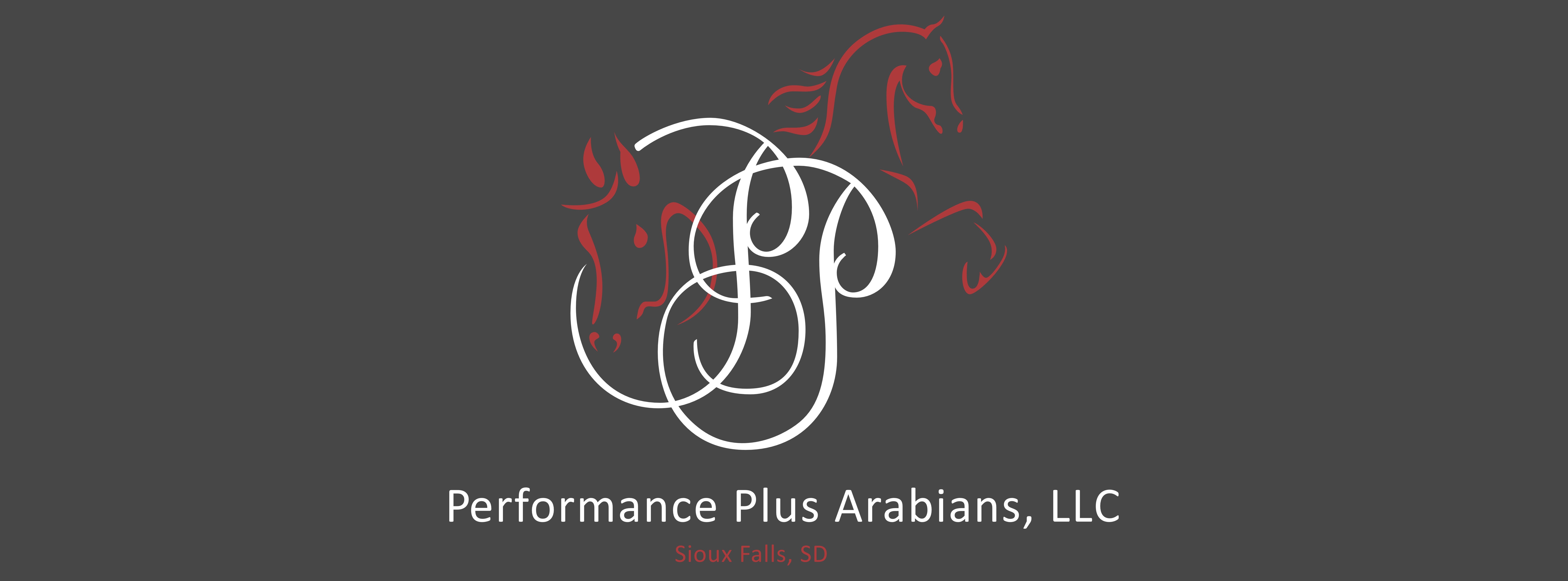 Performance Plus Arabians